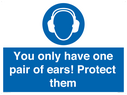 mandatory-you-only-have-one-pair-of-ears-protect-them~